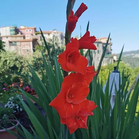 Cinque Terre E Dintorni * Riccò del Golfo di Spezia