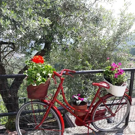 Cinque Terre E Dintorni